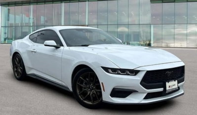 Ford Mustang Coupé Fastback 2.3 EcoBoost (5)