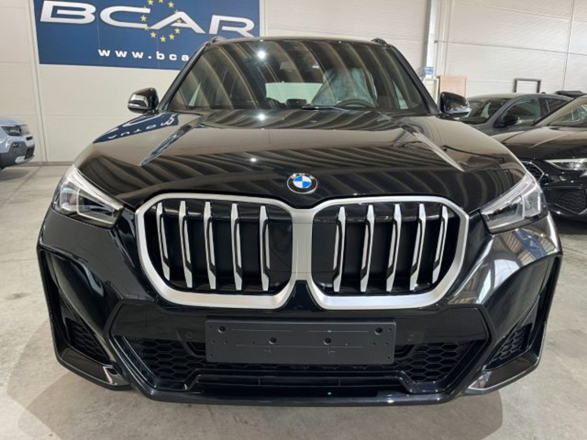 BMW X1 sDrive 18i Msport (2)