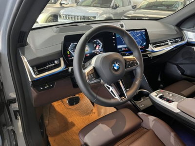 BMW X2 sdrive 18d MSport Pro auto (11)