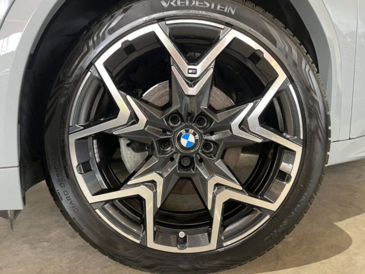 BMW X2 sdrive 18d MSport Pro auto (9)