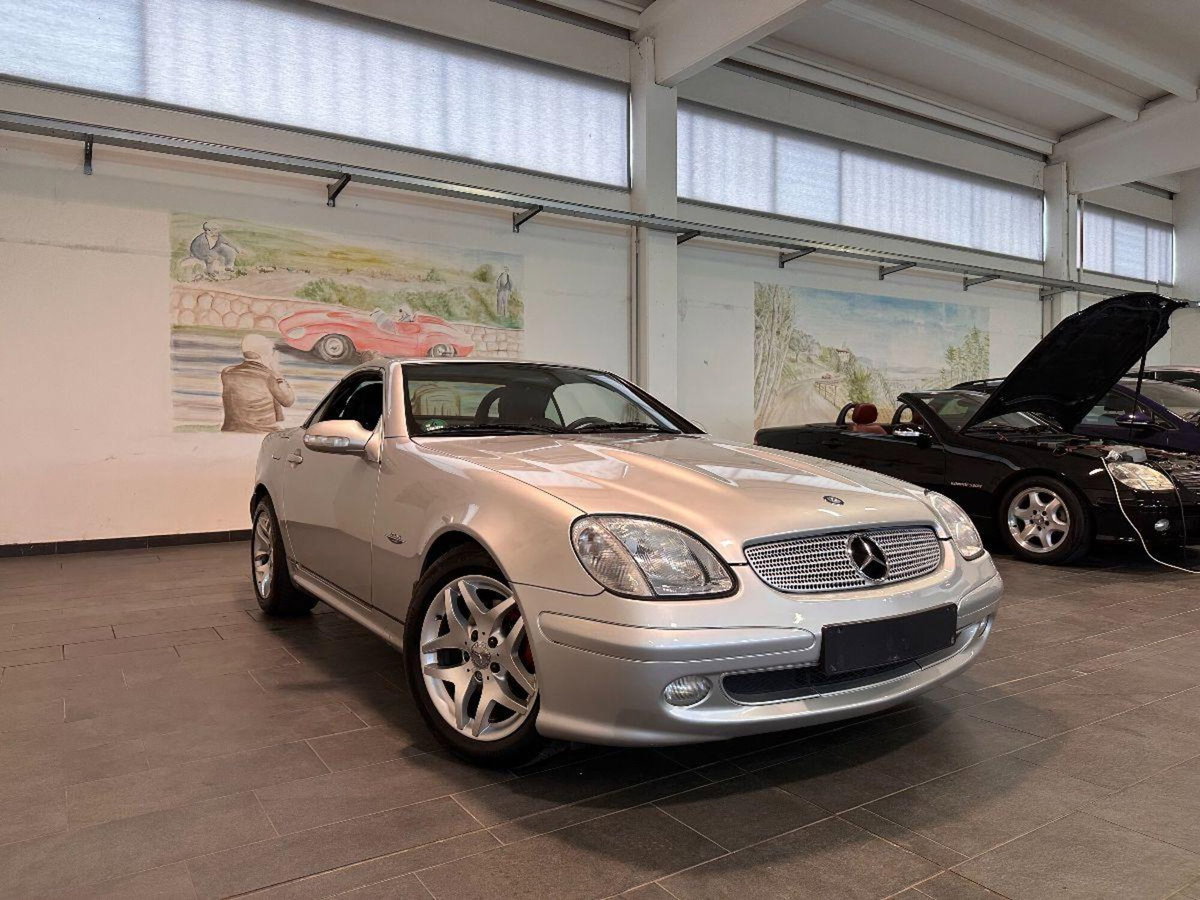 Mercedes-Benz SLK 200 Kompressor cat Special Edition (2)