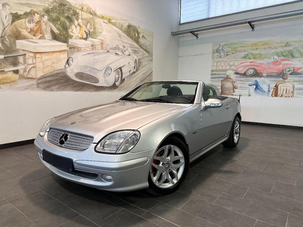 Mercedes-Benz SLK 200 Kompressor cat Special Edition (5)