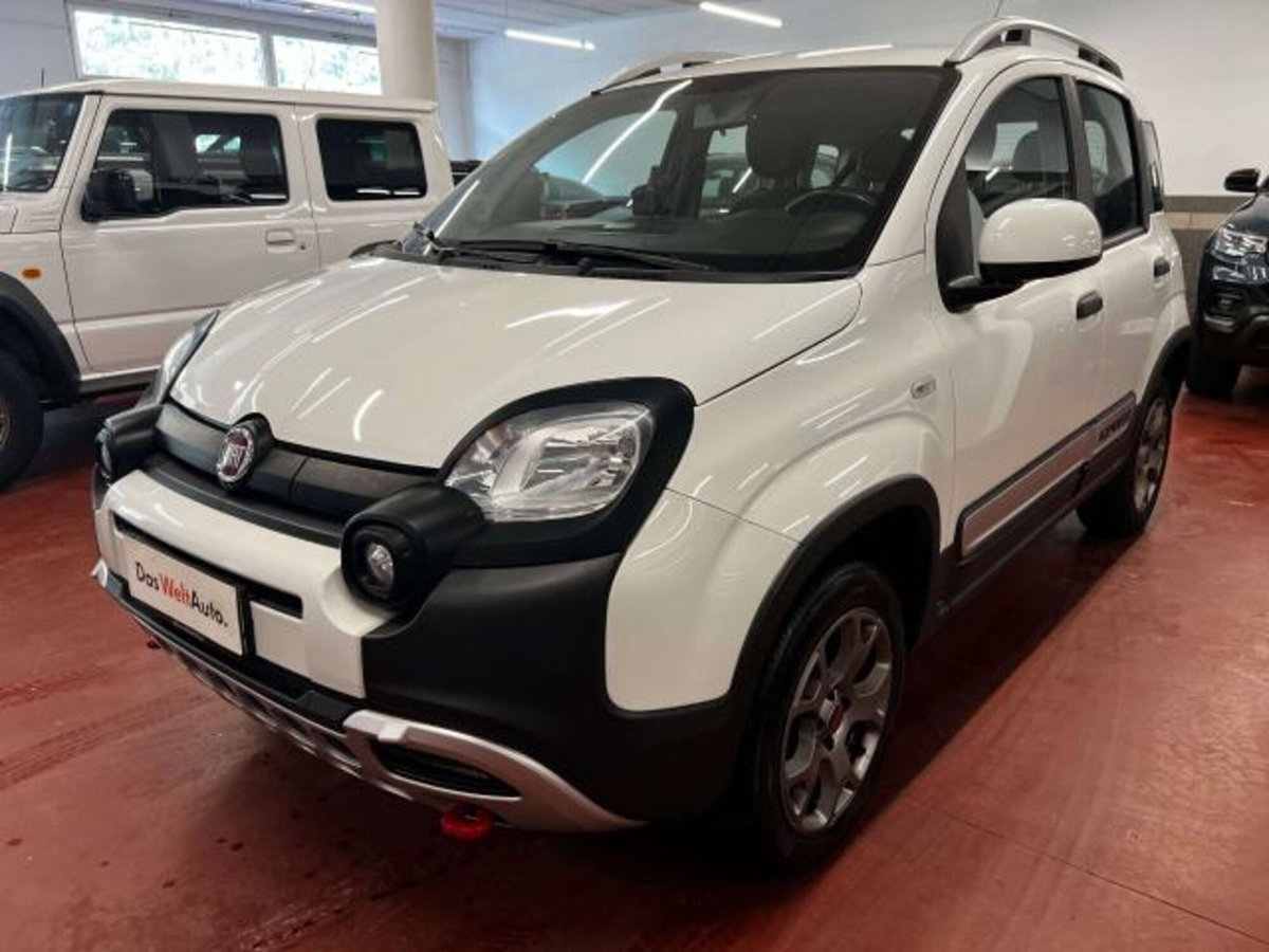 Fiat Panda 1.3 MJT 16V 4x4 Cross (4)