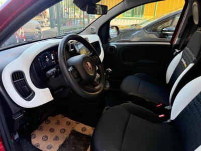 Fiat Panda 1.0 firefly hybrid s&s 70cv 5p.ti (12)