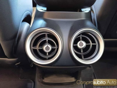 Alfa Romeo Stelvio Stelvio 2.2 Turbodiesel 210 CV AT8 Q4 Veloce (19)