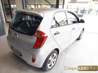 Kia Picanto 1.0 12V 5 porte City (5)