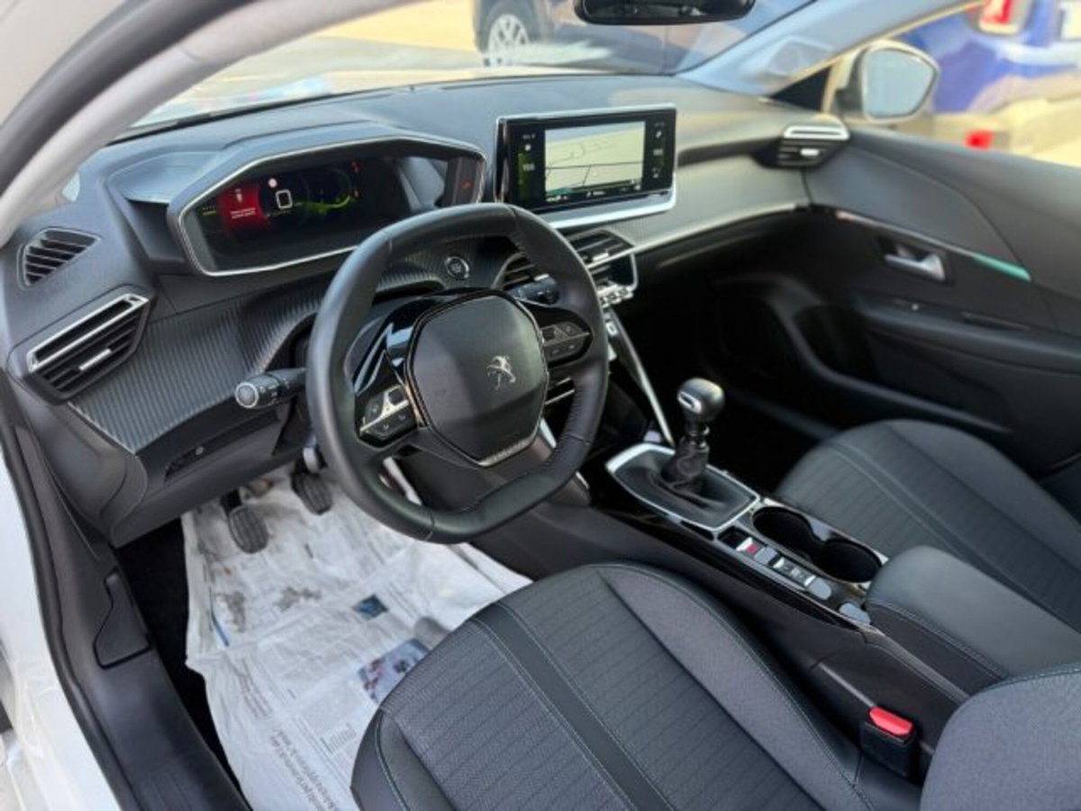 Peugeot 208 BlueHDi 100 Stop&Start 5 porte Allure Navi Pack (16)