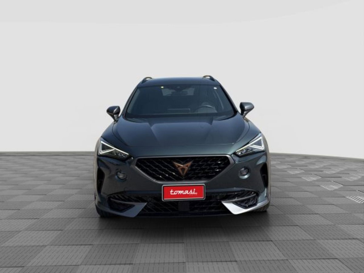 Cupra Formentor Formentor 1.5 TSI (8)