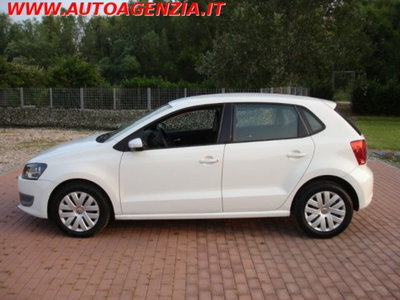Volkswagen Polo 1.6 TDI 90CV DPF 5 porte Comfortline (4)