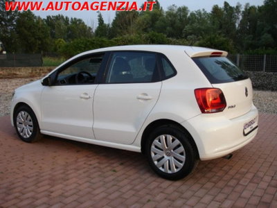 Volkswagen Polo 1.6 TDI 90CV DPF 5 porte Comfortline (5)