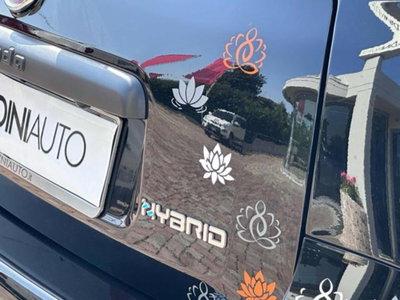 Fiat Panda 1.0 firefly hybrid s&s 70cv (9)