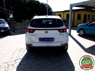 Kia Sportage 1.6 CRDI 136 CV 2WD Mild Hybrid Business Class (6)