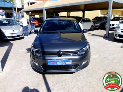 Volkswagen Polo 1.4 TDI 5p. Trendline (2)