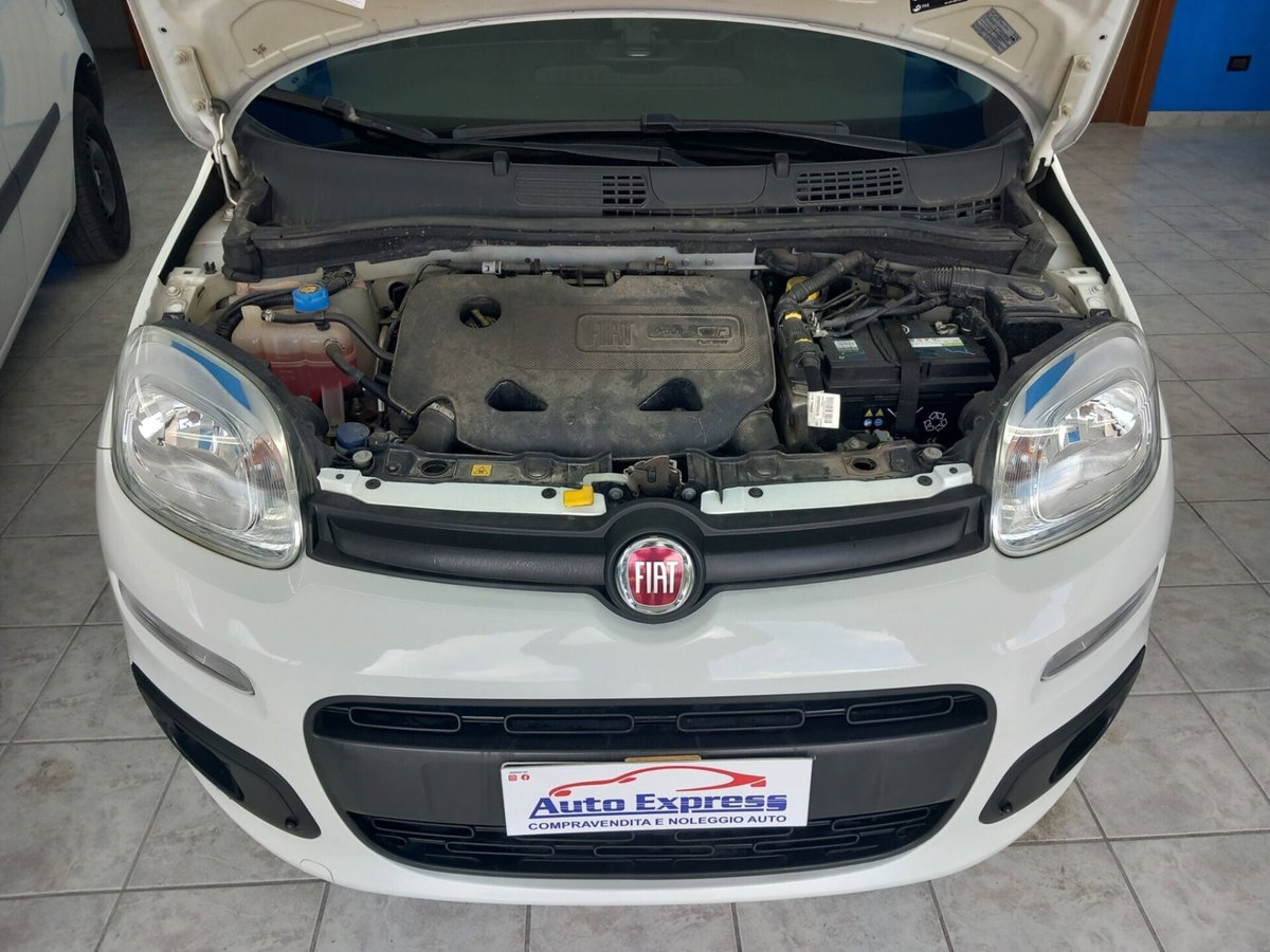 Fiat Panda Cross Cross 0.9 TwinAir Turbo S&S 4x4 (16)