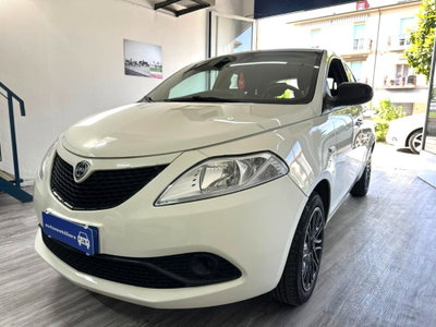 Lancia Ypsilon 1.2 69 CV 5 porte GPL Ecochic Gold usata