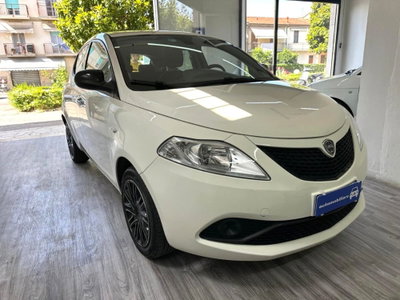 Lancia Ypsilon 1.2 69 CV 5 porte GPL Ecochic Gold (3)