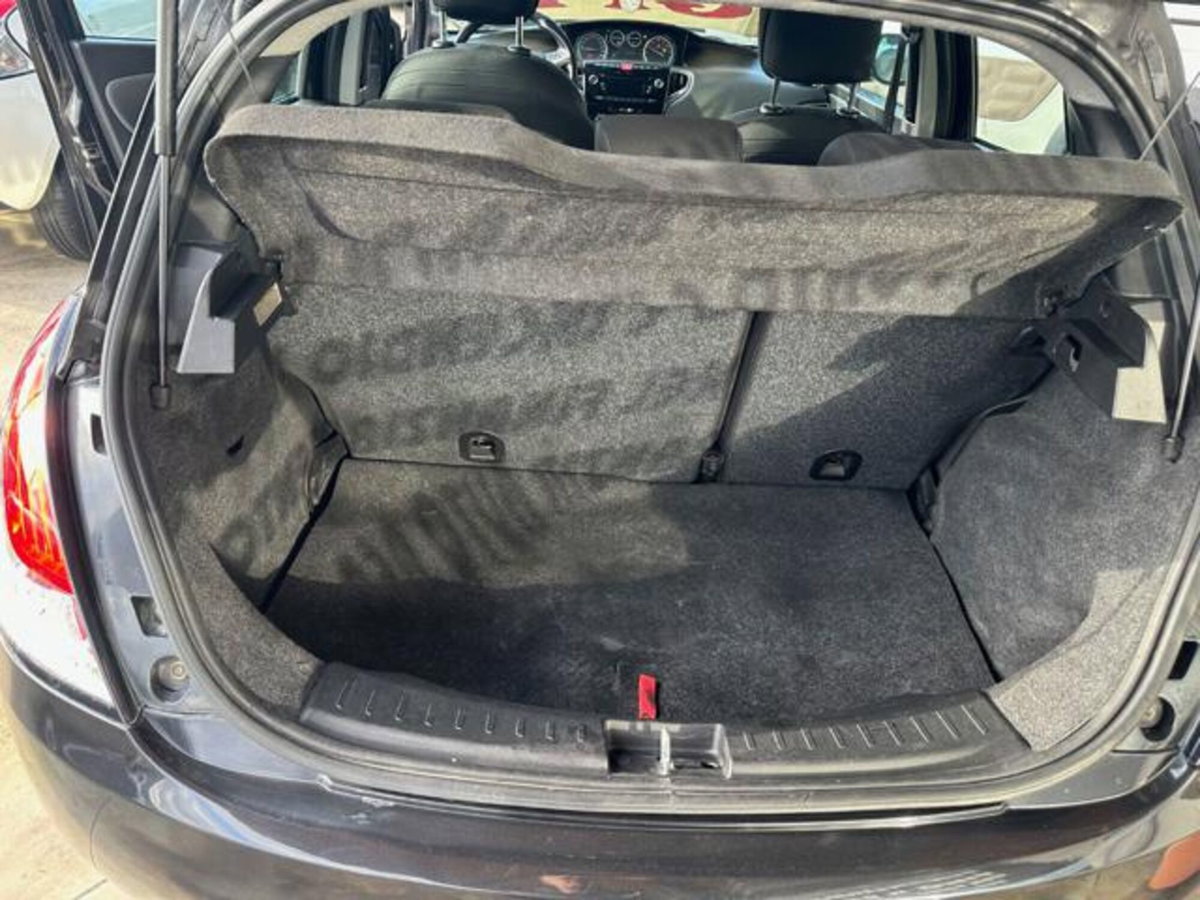 Lancia Ypsilon 1.2 69 CV 5 porte GPL Gold Plus (15)