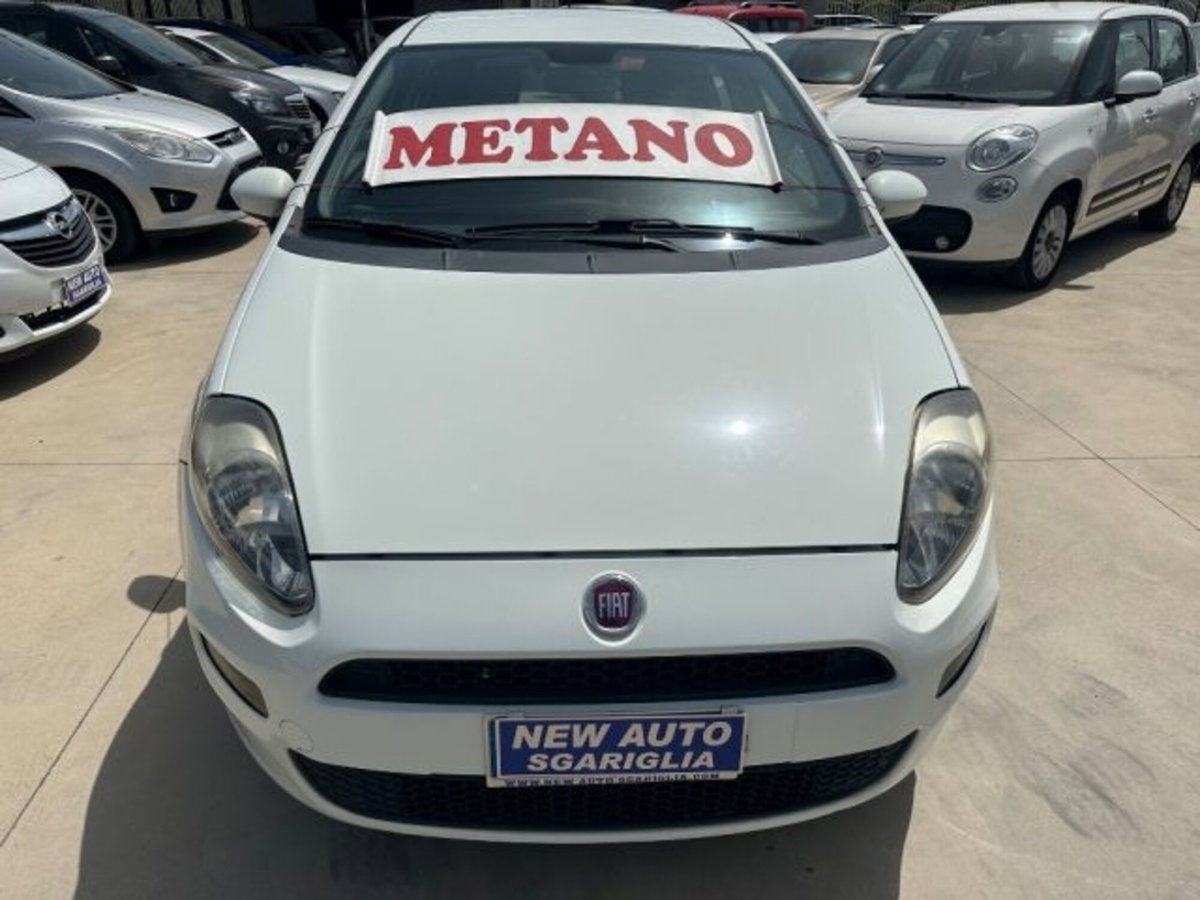 Fiat Punto 1.4 8V 5 porte Natural Power Easy (3)