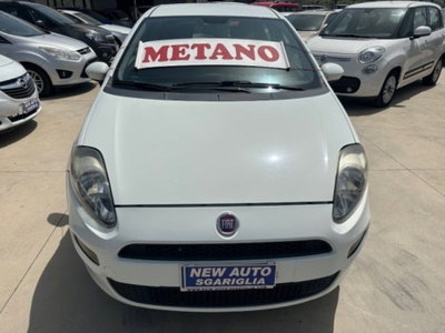 Fiat Punto 1.4 8V 5 porte Natural Power Easy (3)