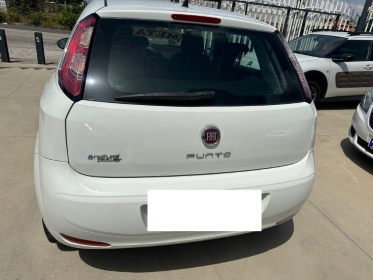 Fiat Punto 1.4 8V 5 porte Natural Power Easy (5)