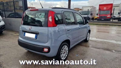 Fiat Panda 1.2 Easy (3)