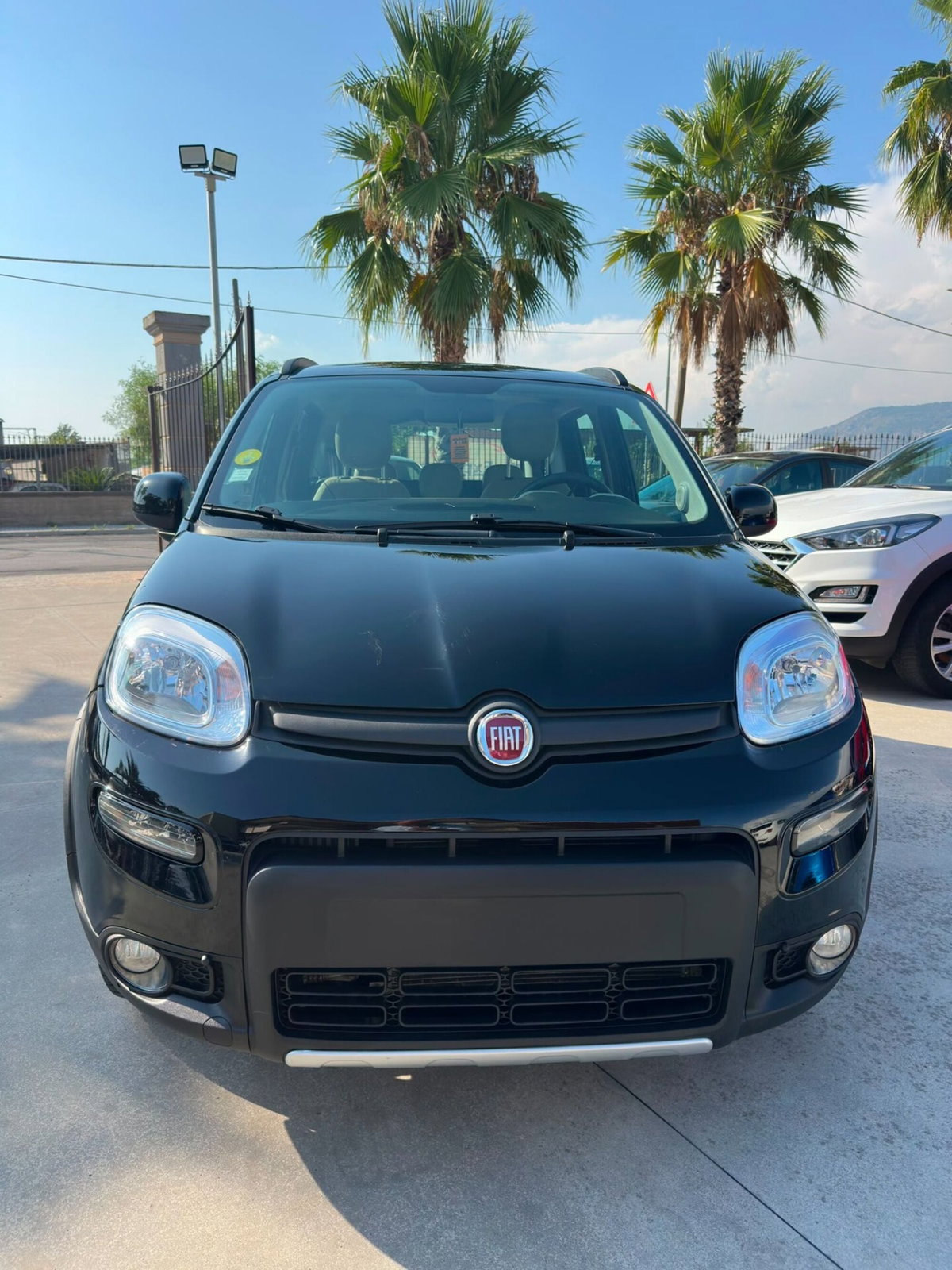 Fiat Panda 1.3 MJT S&S 4x4 (4)