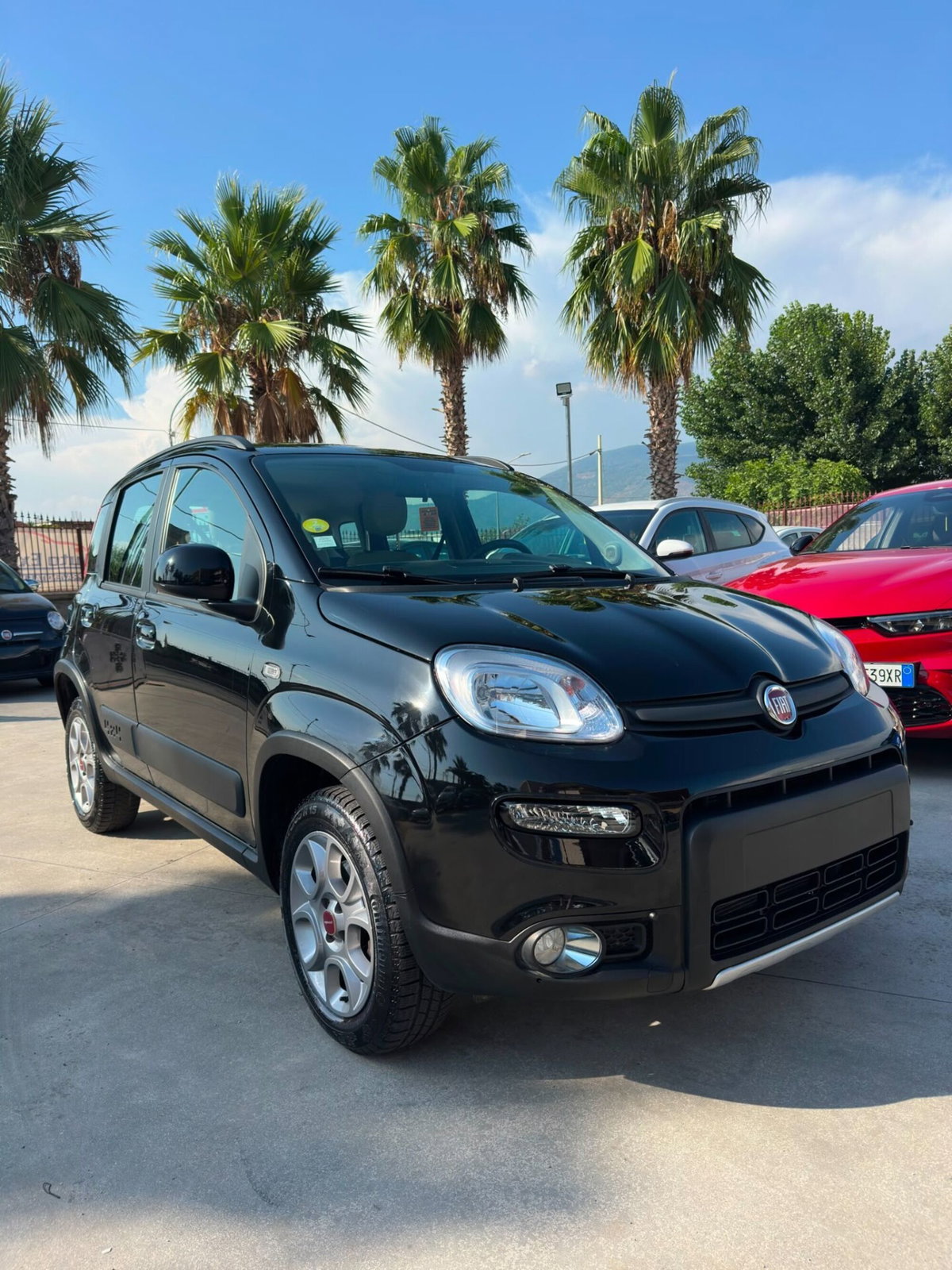 Fiat Panda 1.3 MJT S&S 4x4 (5)
