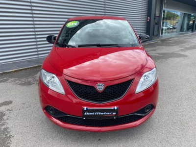 Lancia Ypsilon 1.2 69 CV 5 porte GPL Ecochic Platinum (2)