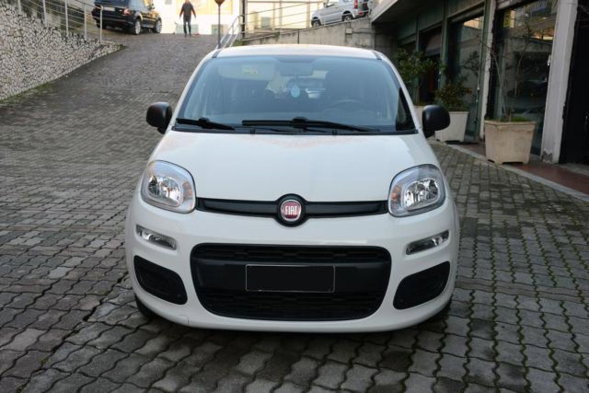 Fiat Panda 1.0 firefly hybrid s&s 70cv (8)