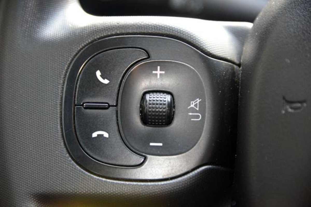 Fiat Panda 1.0 firefly hybrid s&s 70cv 5p.ti (14)