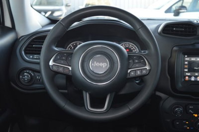 Jeep Renegade 1.6 Mjt 130 CV Limited (10)