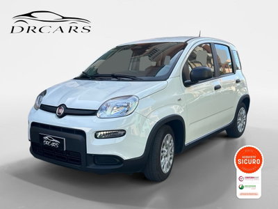 Fiat Panda Cross Cross 1.0 FireFly S&S Hybrid usata