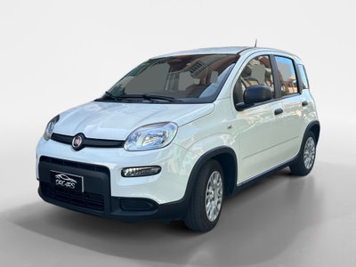 Fiat Panda Cross Cross 1.0 FireFly S&S Hybrid (2)