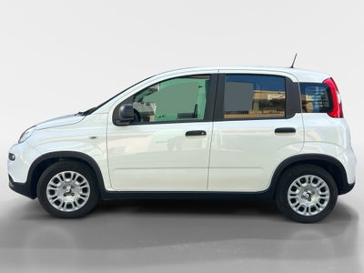 Fiat Panda Cross Cross 1.0 FireFly S&S Hybrid (3)