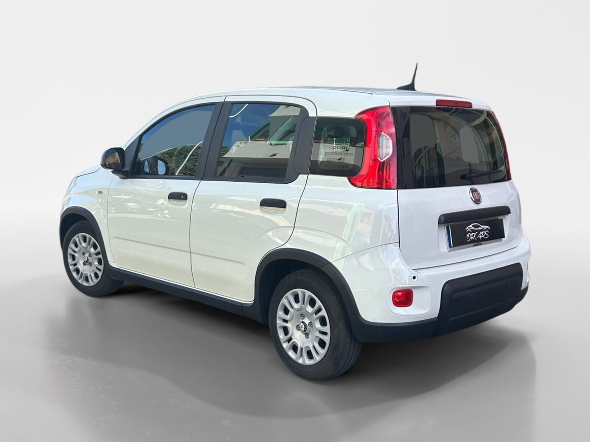 Fiat Panda Cross Cross 1.0 FireFly S&S Hybrid (4)