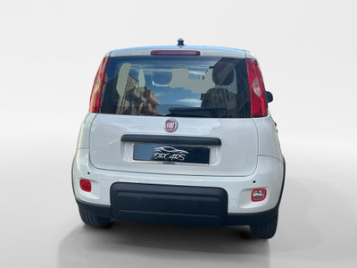 Fiat Panda Cross Cross 1.0 FireFly S&S Hybrid (5)