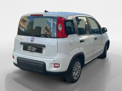 Fiat Panda Cross Cross 1.0 FireFly S&S Hybrid (6)