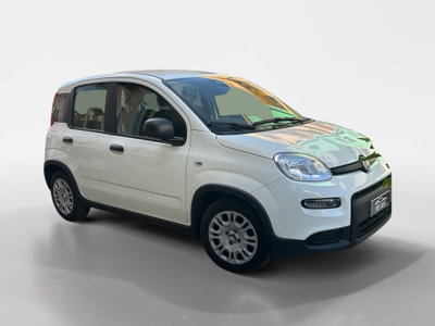 Fiat Panda Cross Cross 1.0 FireFly S&S Hybrid (8)