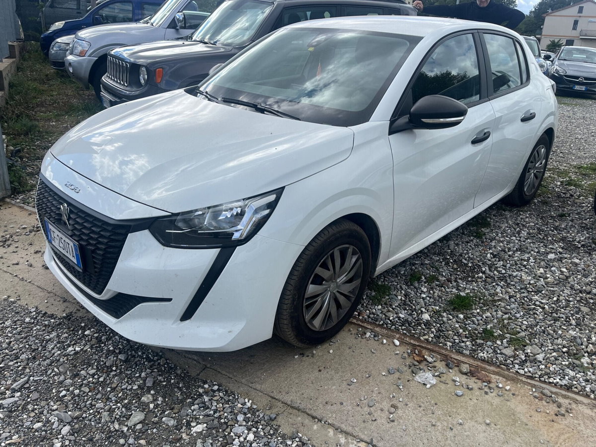 Peugeot 208 BlueHDi 100 Stop&Start 5 porte Active Pack (2)