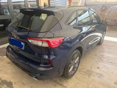 Ford Kuga 2.0 EcoBlue 120 CV aut. 2WD ST-Line X (5)