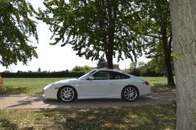 Porsche 911 Coupé Carrera cat (10)