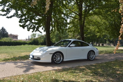 Porsche 911 Coupé Carrera cat (11)
