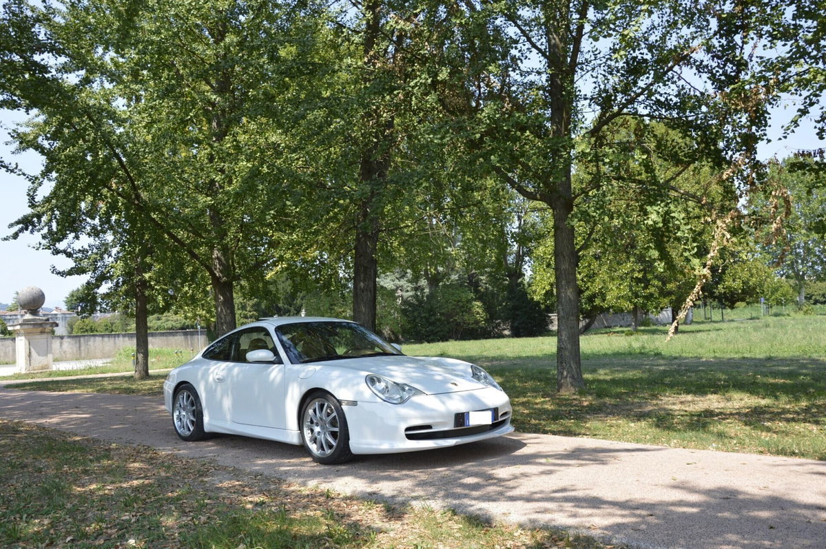 Porsche 911 Coupé Carrera cat (9)