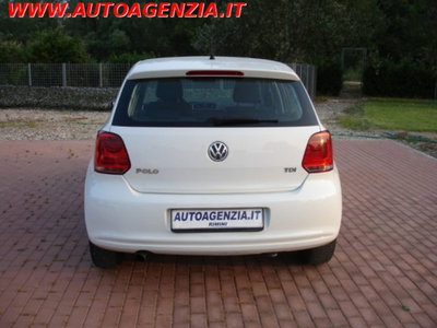 Volkswagen Polo 1.6 TDI 90CV DPF 5 porte Comfortline (7)