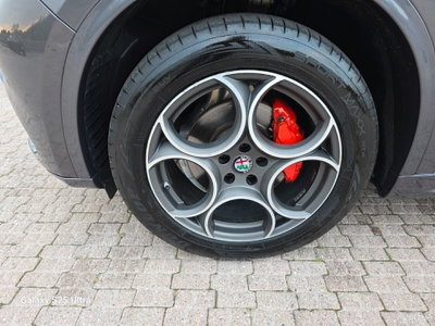 Alfa Romeo Stelvio Stelvio 2.2 Turbodiesel 210 CV AT8 Q4 Veloce (14)