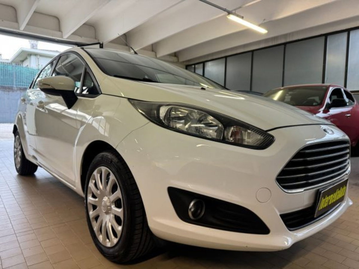 Ford Fiesta 1.5 TDCi 75CV 5 porte (3)