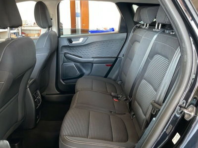 Ford Kuga 1.5 EcoBlue 120 CV 2WD Titanium (12)