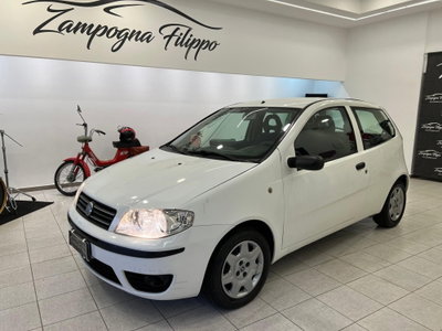 Fiat Punto 1.3 Multijet 16V 3 porte Active usata