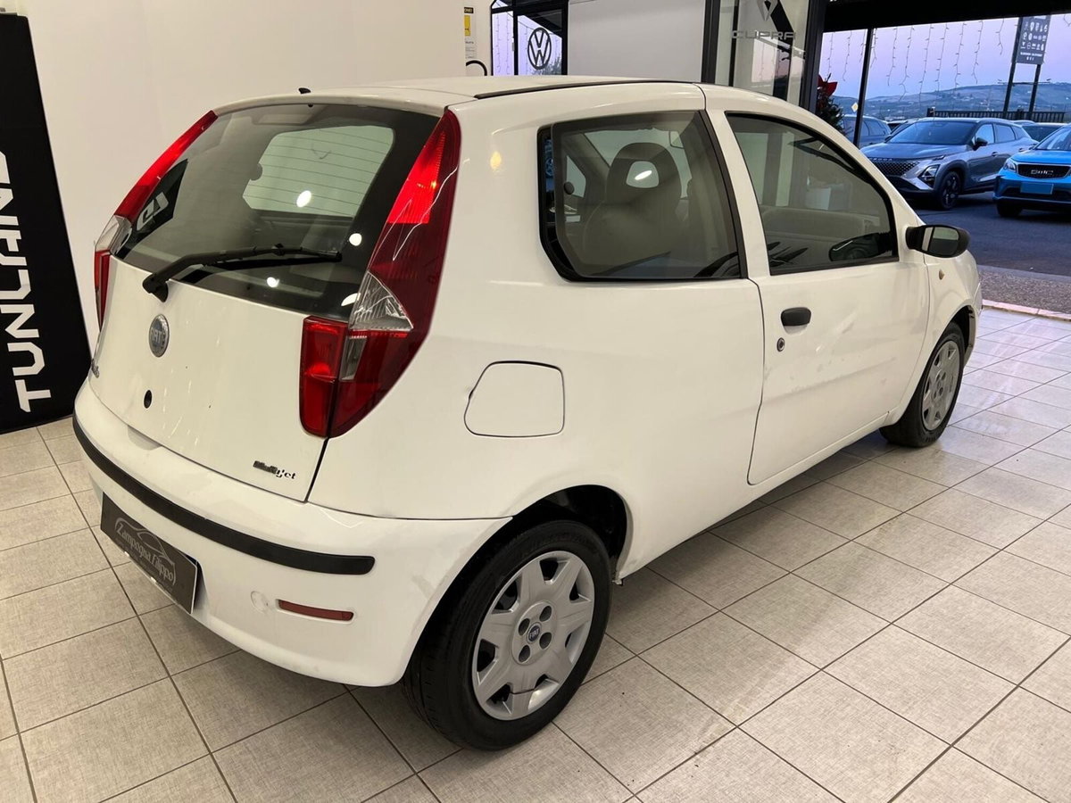 Fiat Punto 1.3 Multijet 16V 3 porte Active (5)