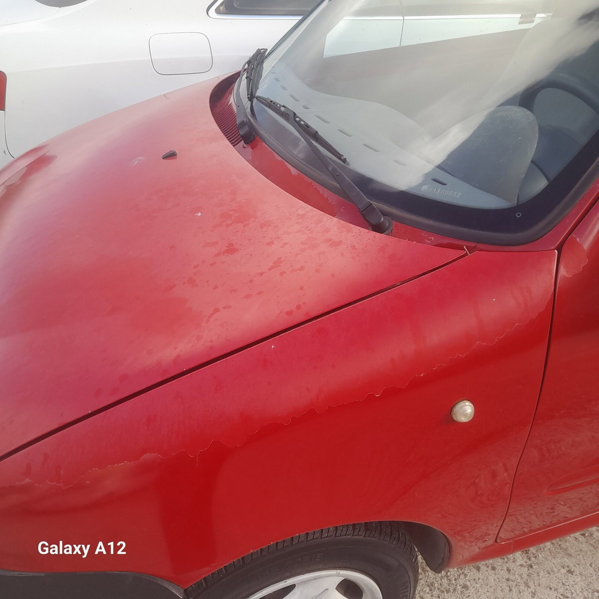 Fiat 600 1.1 Active (2)
